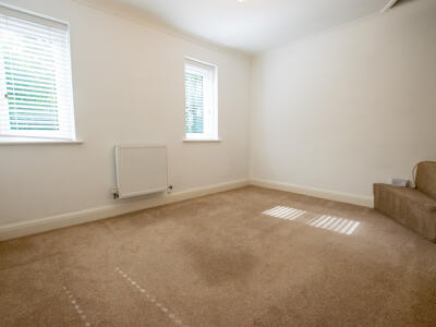 Picture 7